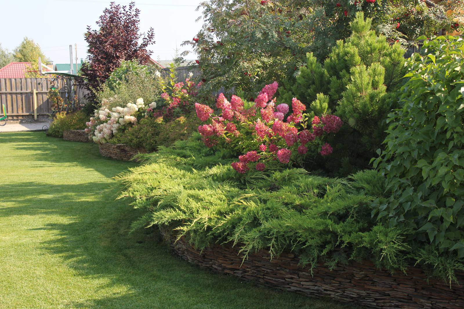 В гостях у Сказки