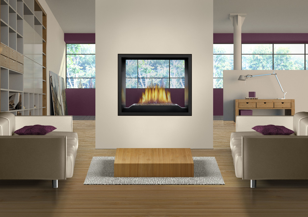 Napoleon Fireplace Design Gallery - Other - by Wyckoff Heating Cooling ...