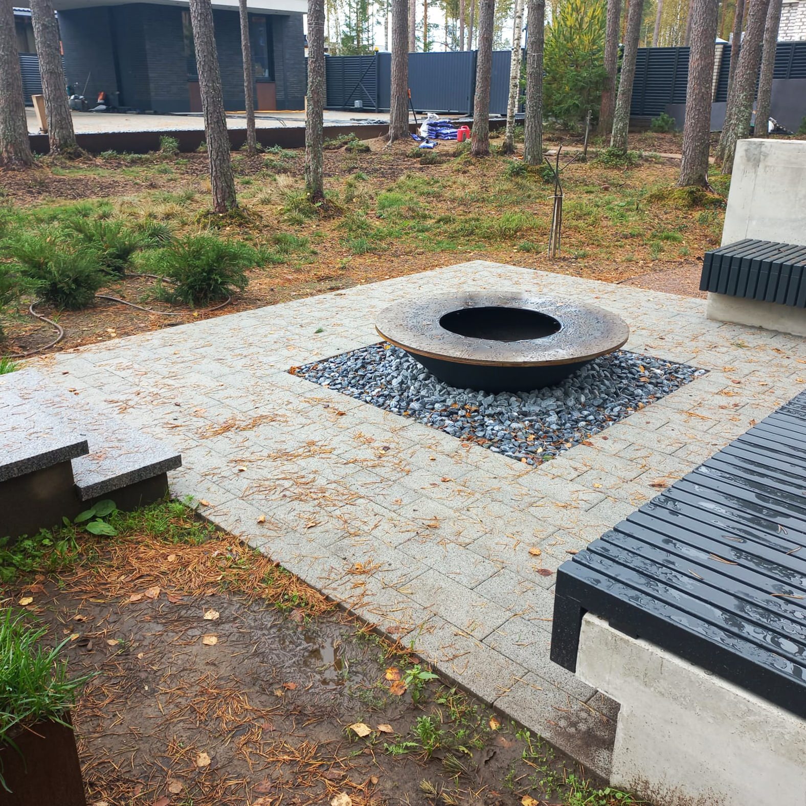 Текущий проект: Репино-Парк