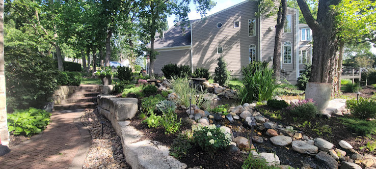 Woodland Restoration