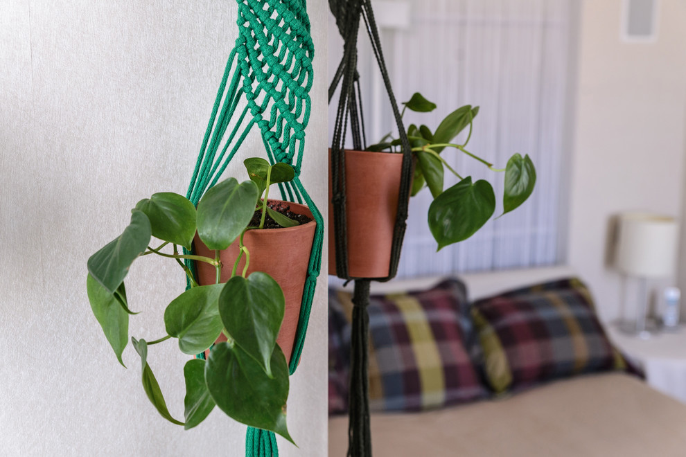 Озеленение квартиры