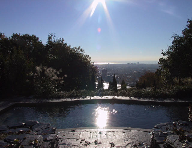 Westmount contemporary-swimming-pool-and-hot-tub