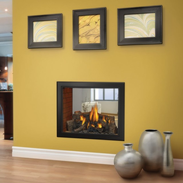 Napoleon 39 in. See-Thru Gas Fireplace - HD81NT