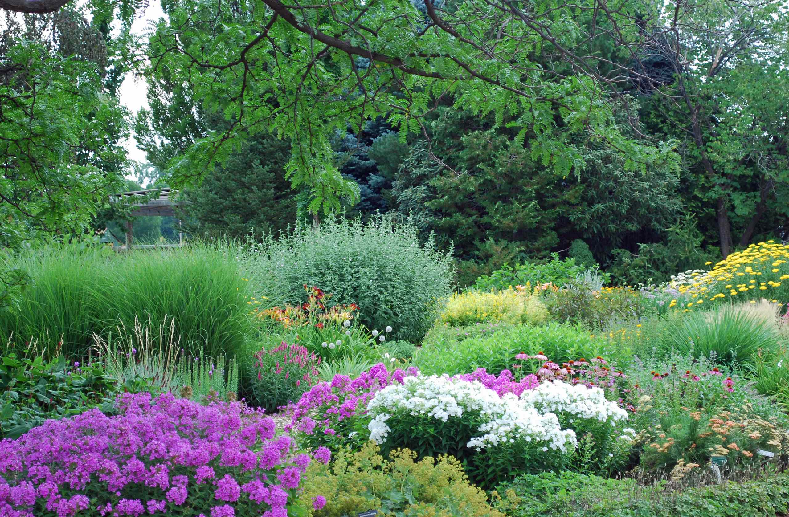 マナーガーデン Take Your Garden on a Rural Route With Plant-Dominant Designs