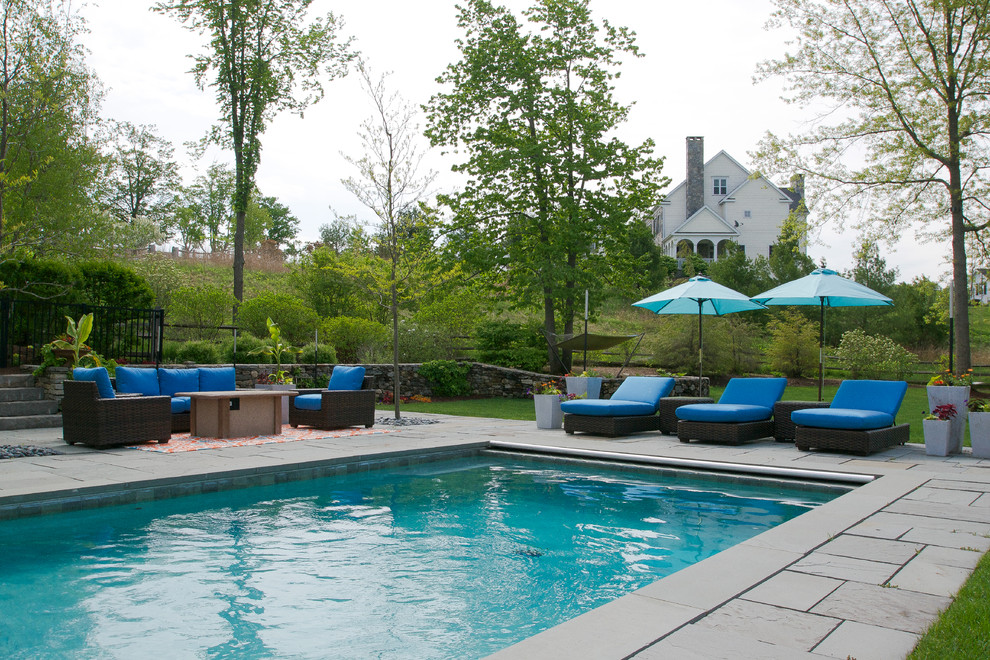 Design ideas for a mid-sized contemporary backyard rectangular natural pool in Bridgeport with concrete pavers.