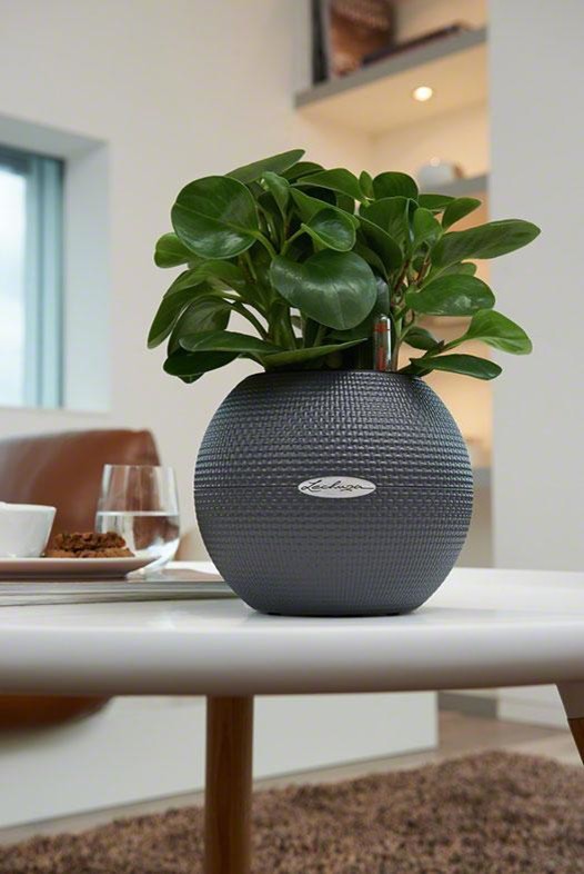 Маленький шар с большим эффектом