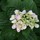 sue_avery2090882