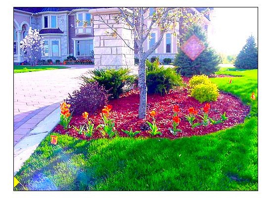 Spring & Fall Landscaping-Adding Color to your Gardens garden