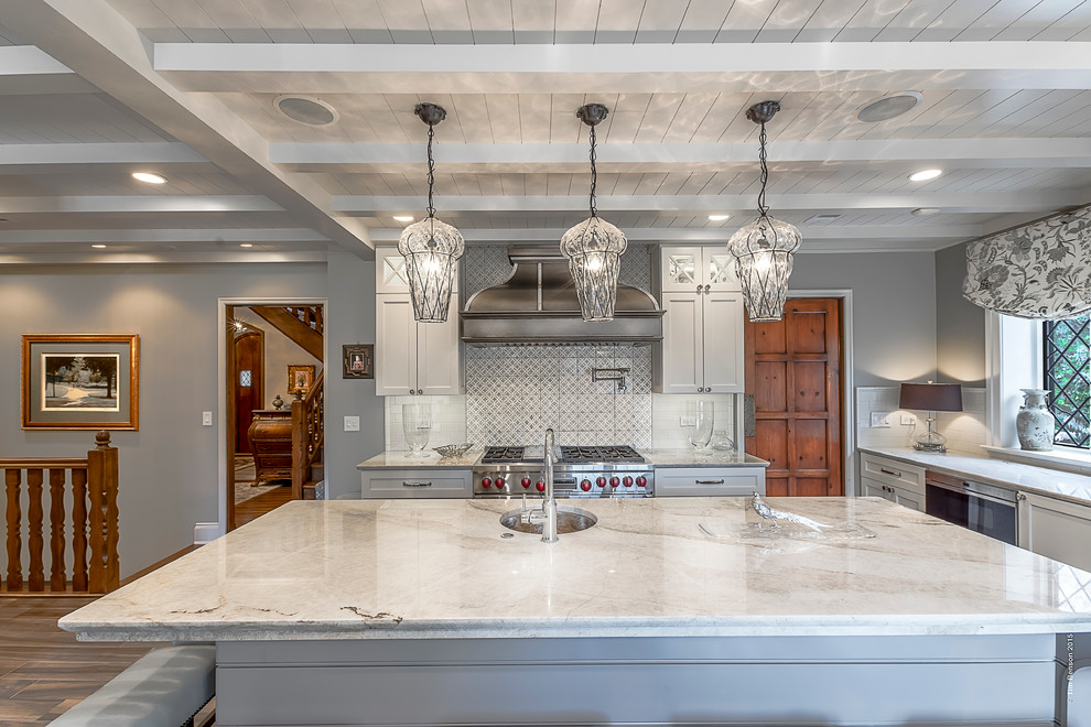 Kitchen - transitional kitchen idea in Chicago