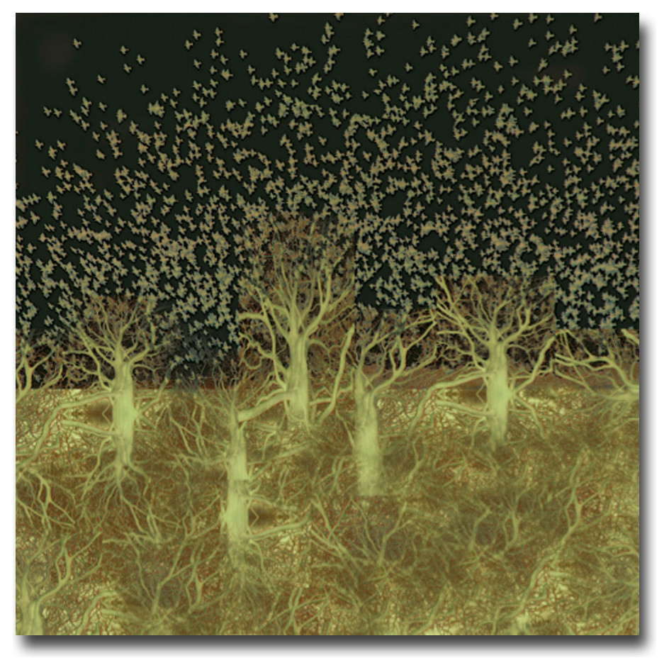 Nature Wall: Roots and Birds Gold - Canvas, 40x40x3