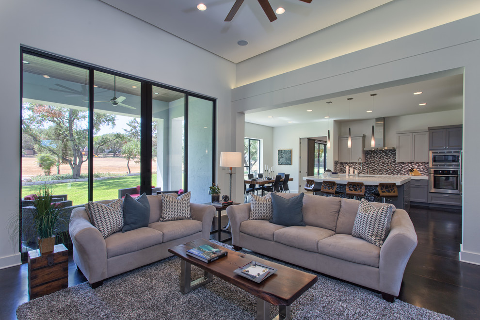 Contemporary living room in Austin.