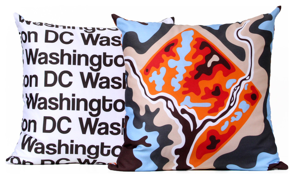 Washington DC map pillow