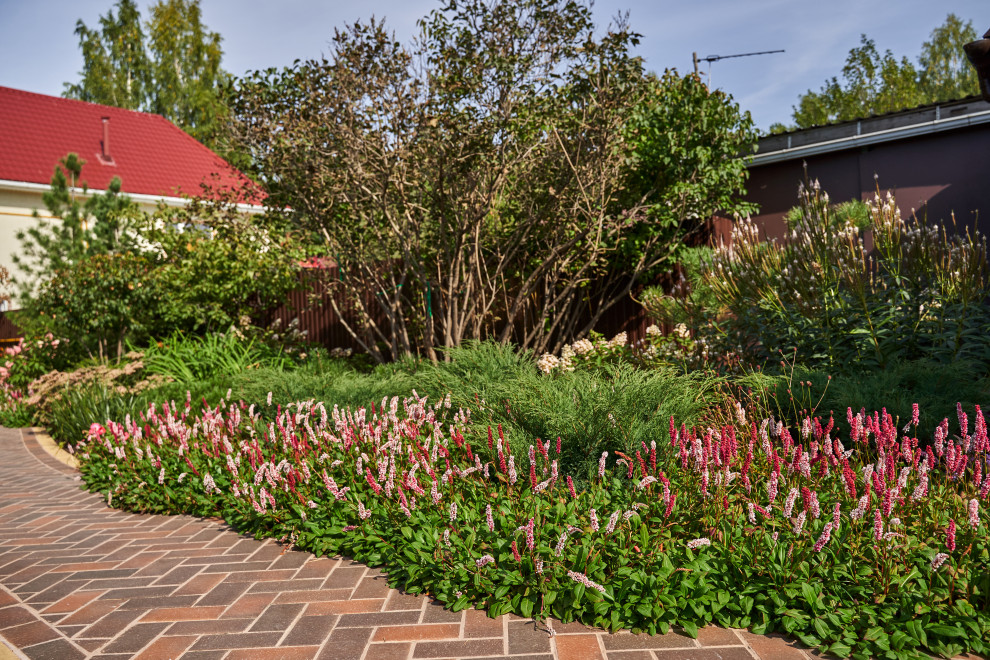 Сад в розовой дымке