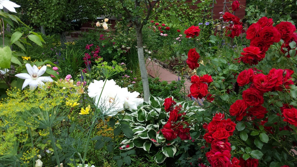 Любимый сад