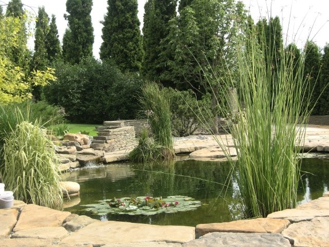 Ландшафтный дизайн