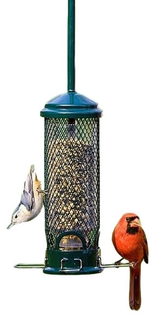 which squirrel buster bird feeder