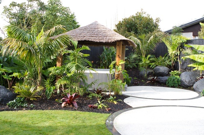 Tropical garden in Auckland.