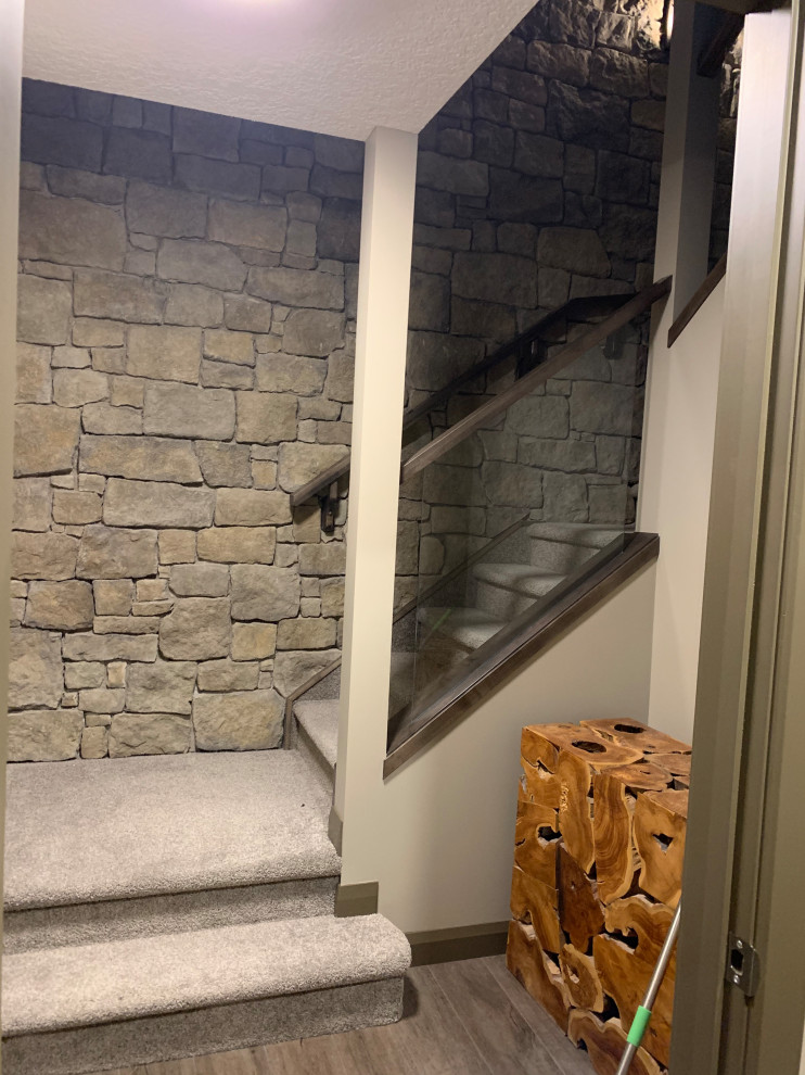 Basement Development