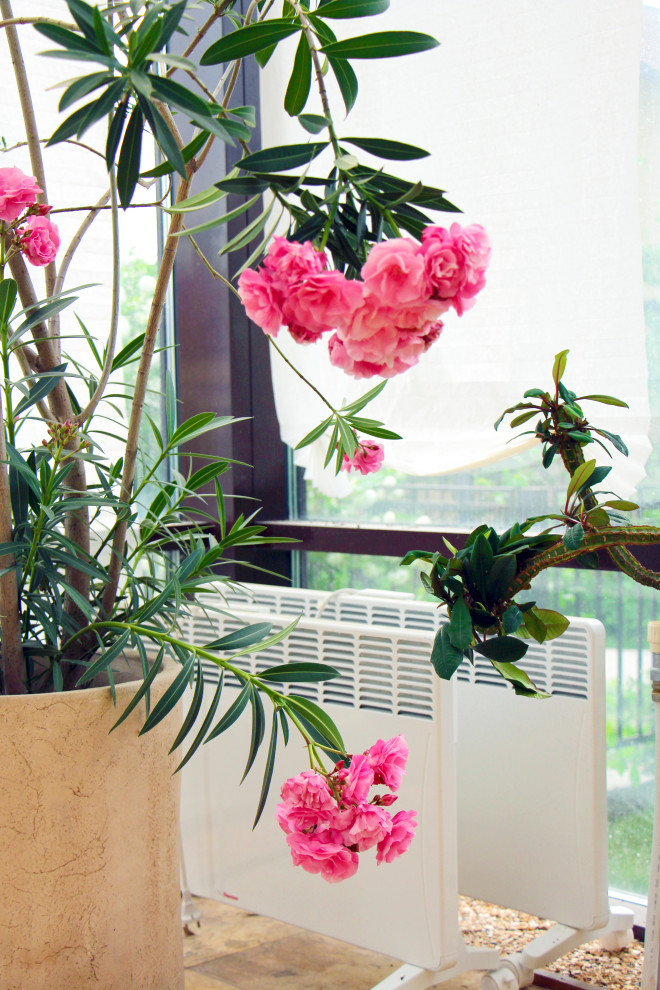 Тарасовка, зимний сад, 2012-2013 гг.