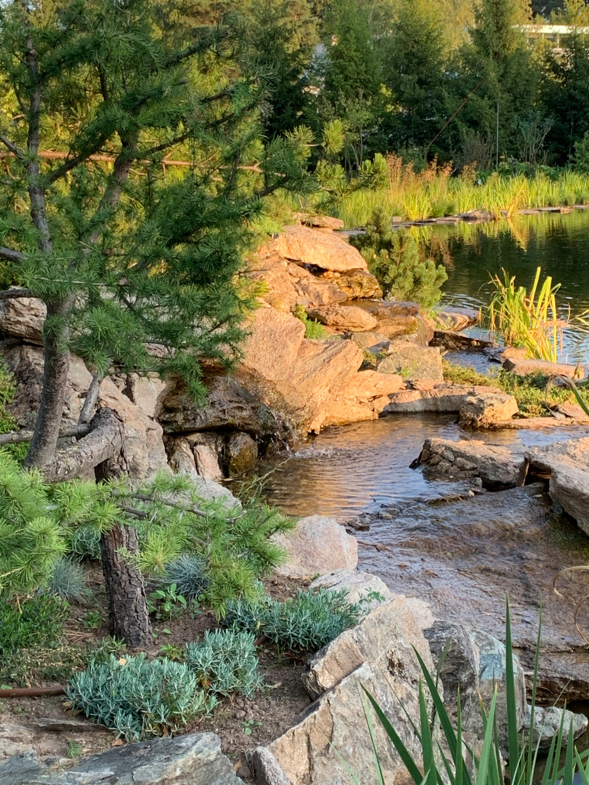 Ландшафт в поселке "Бенилюкс"