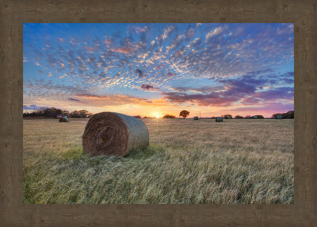 "Hay Field" Landscape Framed Fine Art Canvas, 41.5x29.5"