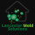 Lancaster Mold Removal Solutions