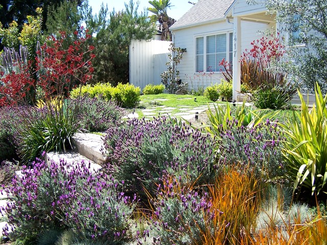 Great Plants For Lush Low Water Gardens, Low Water Garden