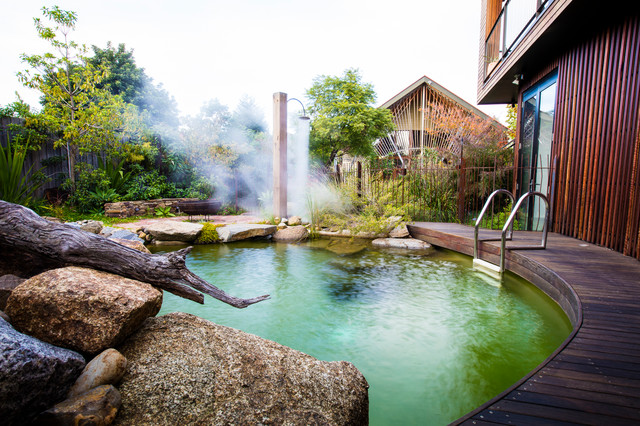 Natural Pools pool