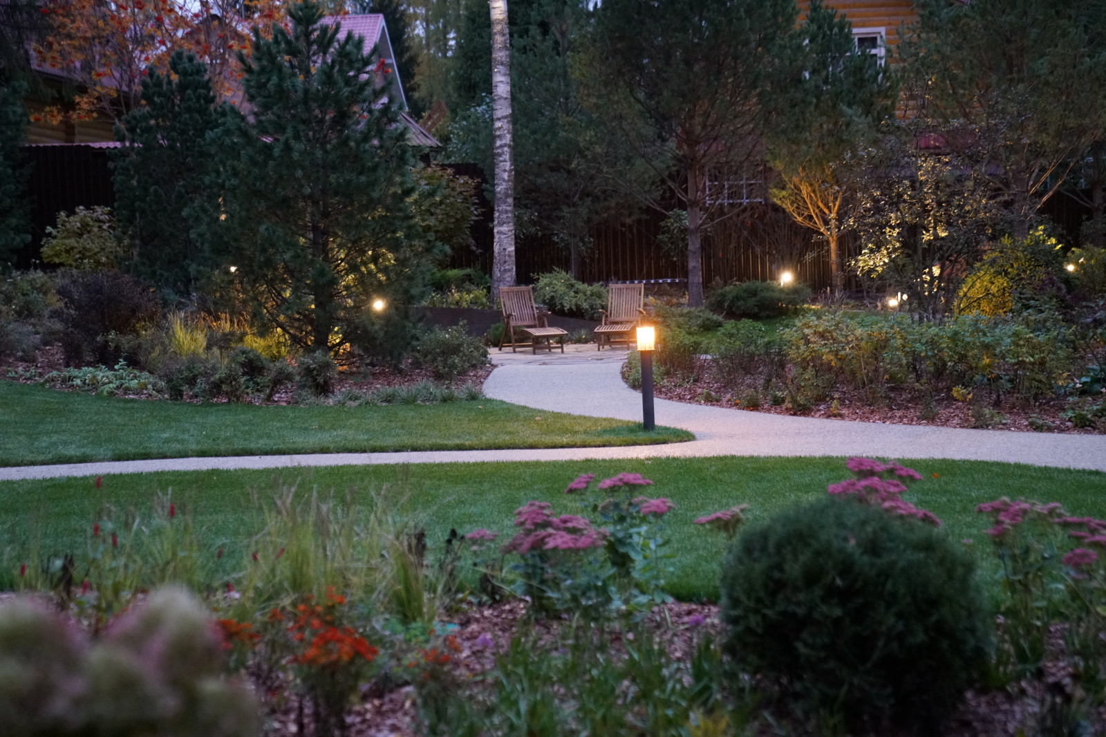 Круговорот  цвета. Дубровка 2021