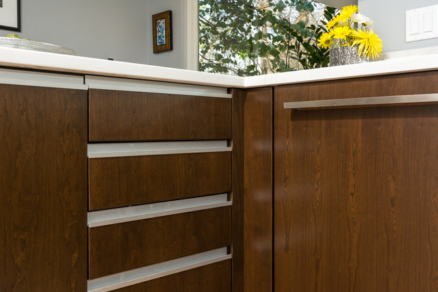 Modernized Kitchen contemporary-kitchen