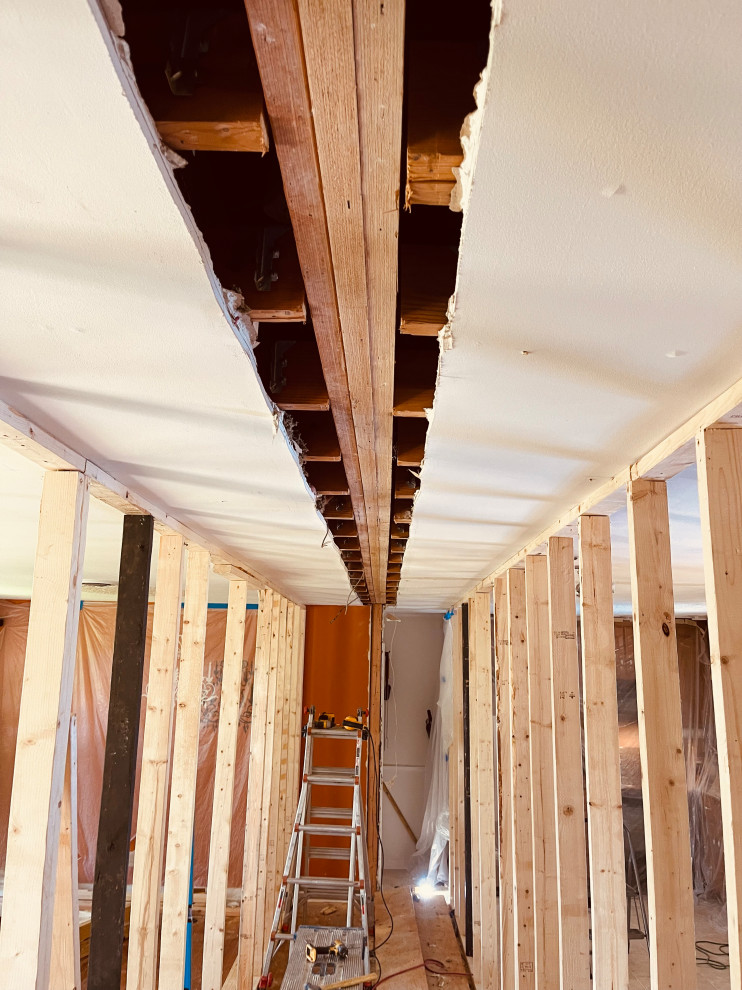 Interior Remodel