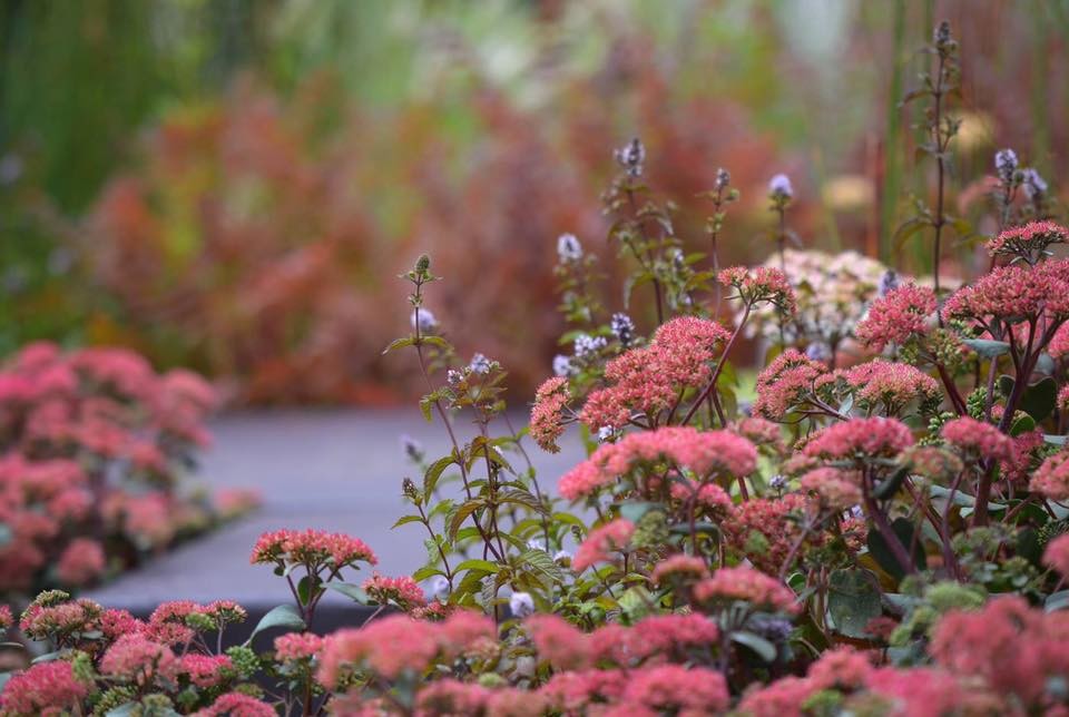 Выставочный сад на ВДНХ