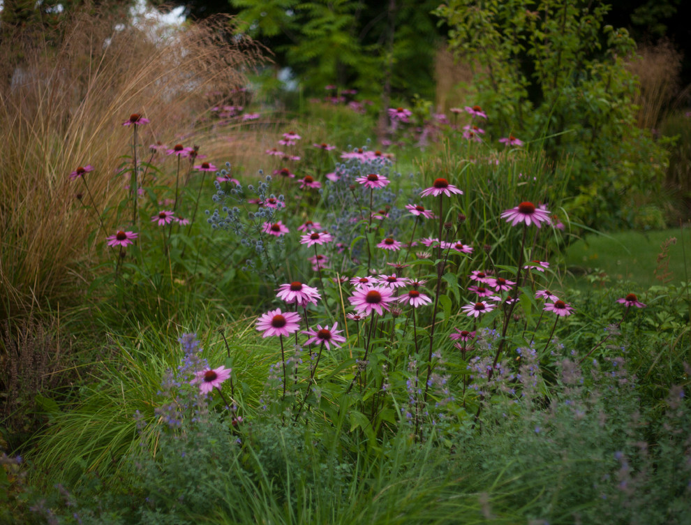 Обитель ветров, сад в Тверской области