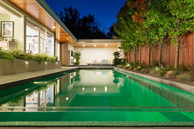 Balwyn contemporain-piscine