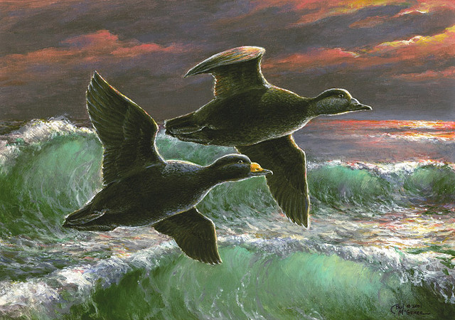 "Wings of the Surf" by Paul McGehee