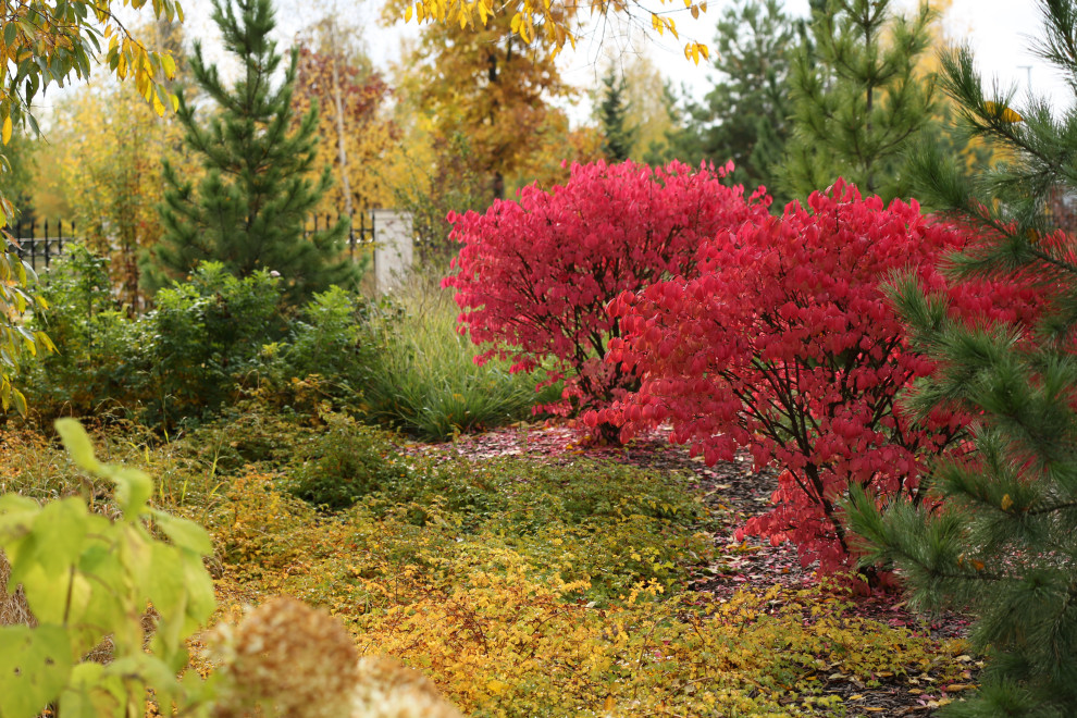 "Новорижский парк"