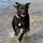 tracey_davidson32