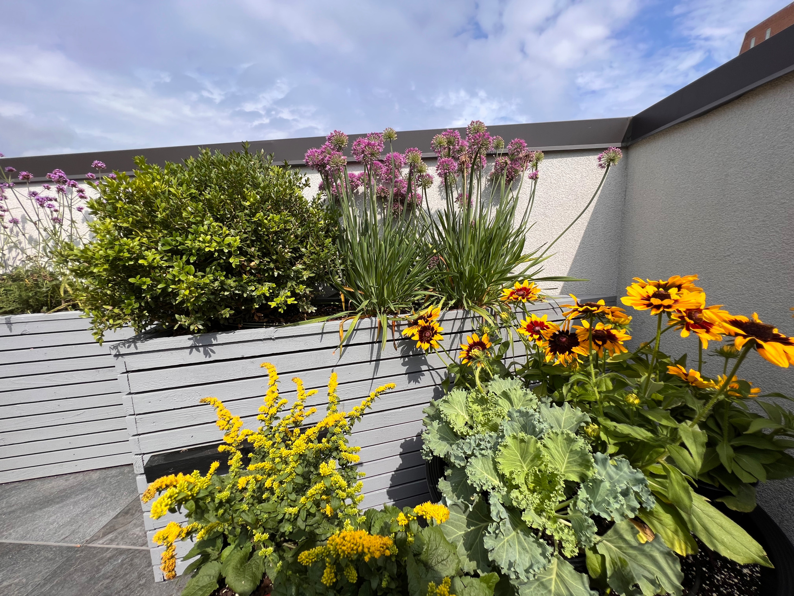 Williamsburg Roof Garden