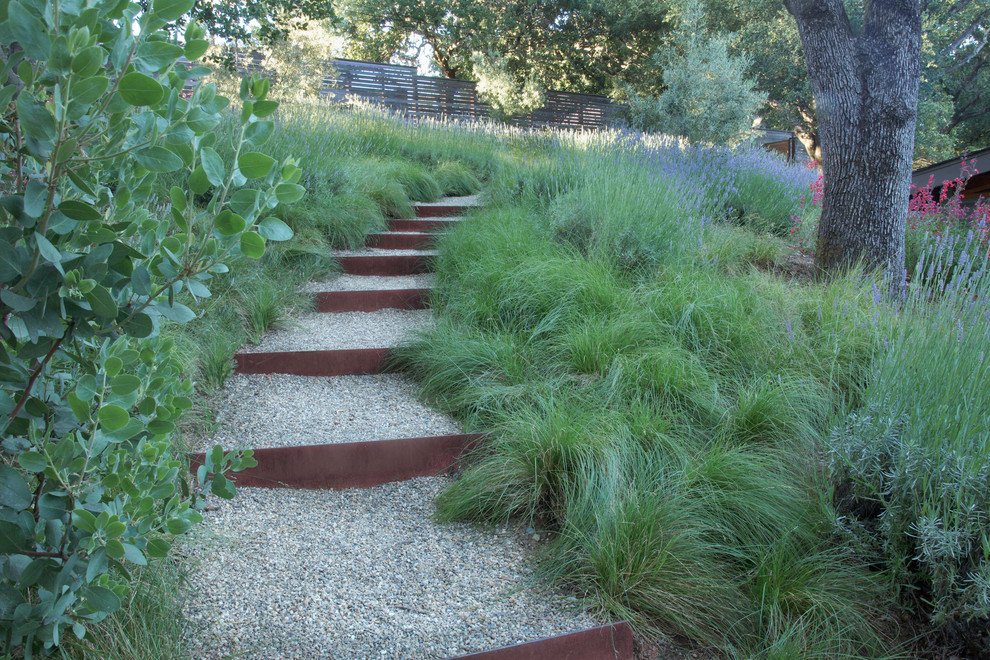 Photo of a sloped garden in San Francisco with decomposed granite.
