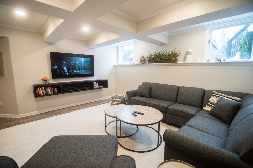 This is an example of an expansive traditional look-out basement in Detroit with vinyl floors and brown floor.