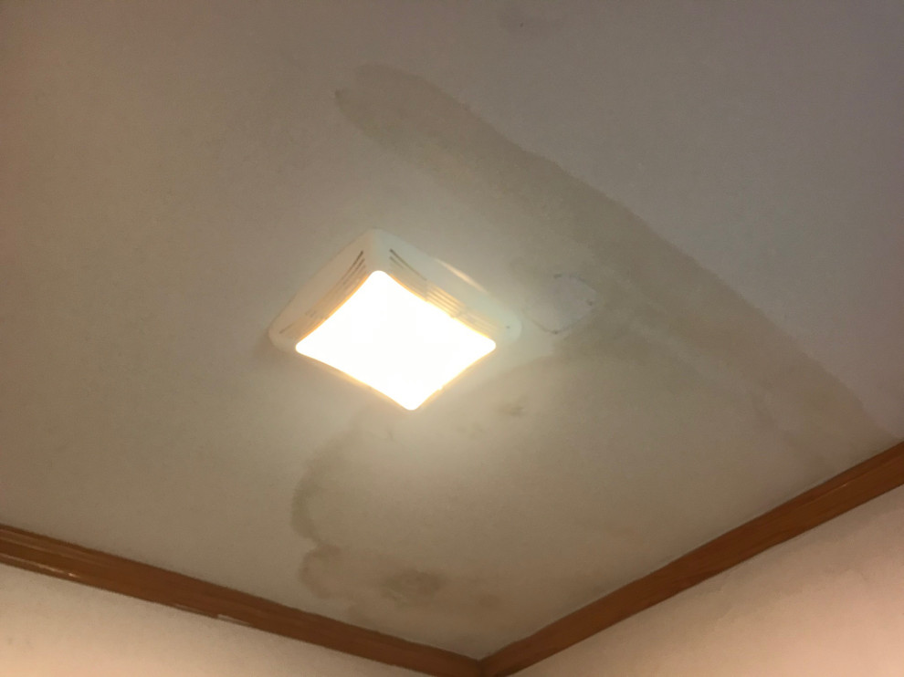water Mitigation Cambridge
