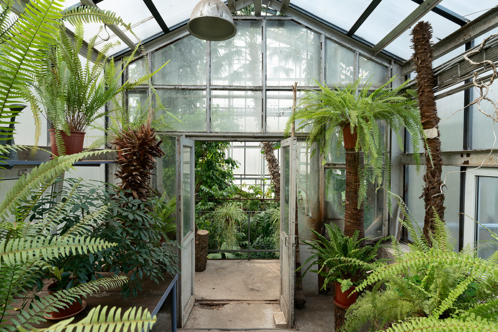 Ботанический сад в сердце Петербурга