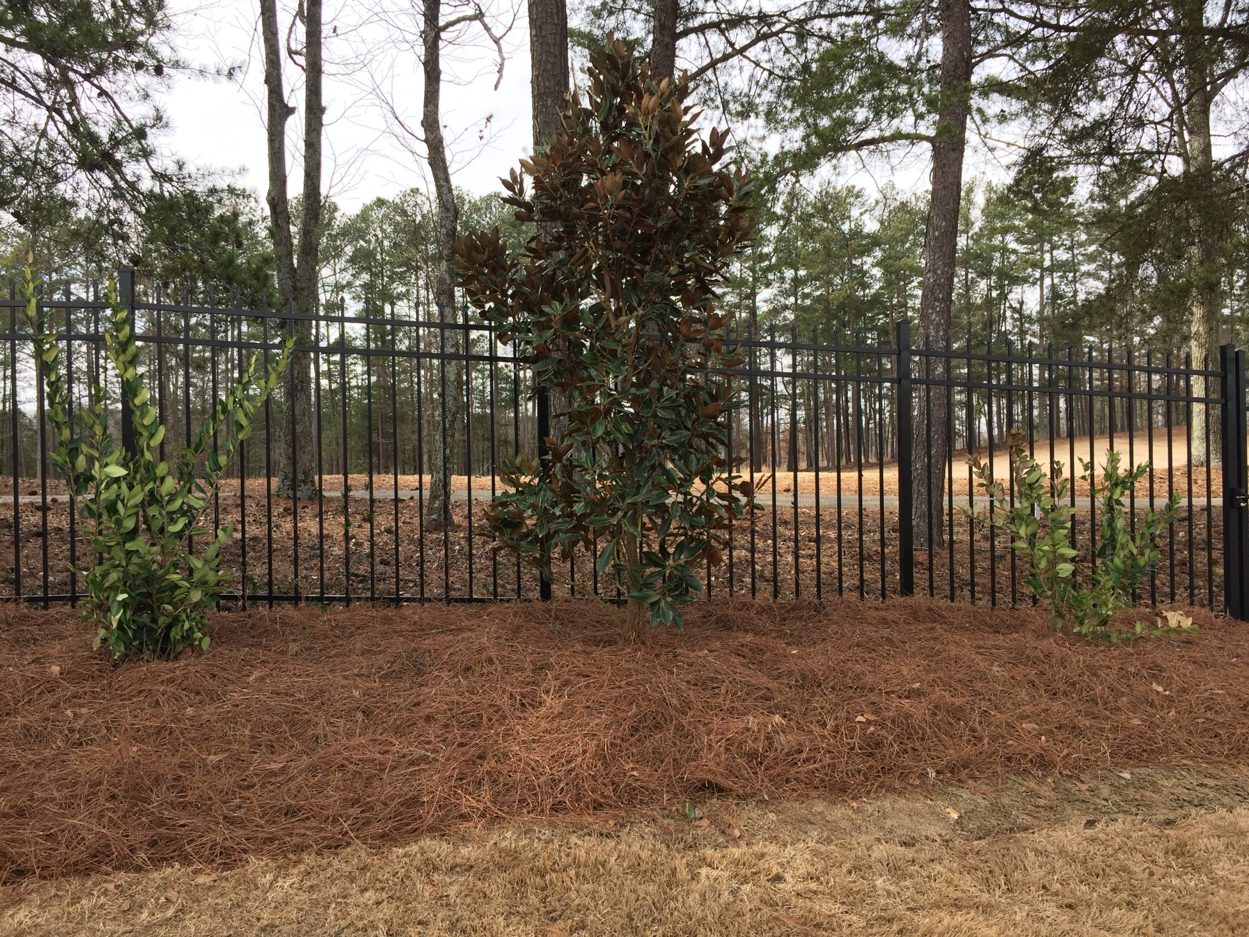 Alpharetta Yard Enhancements