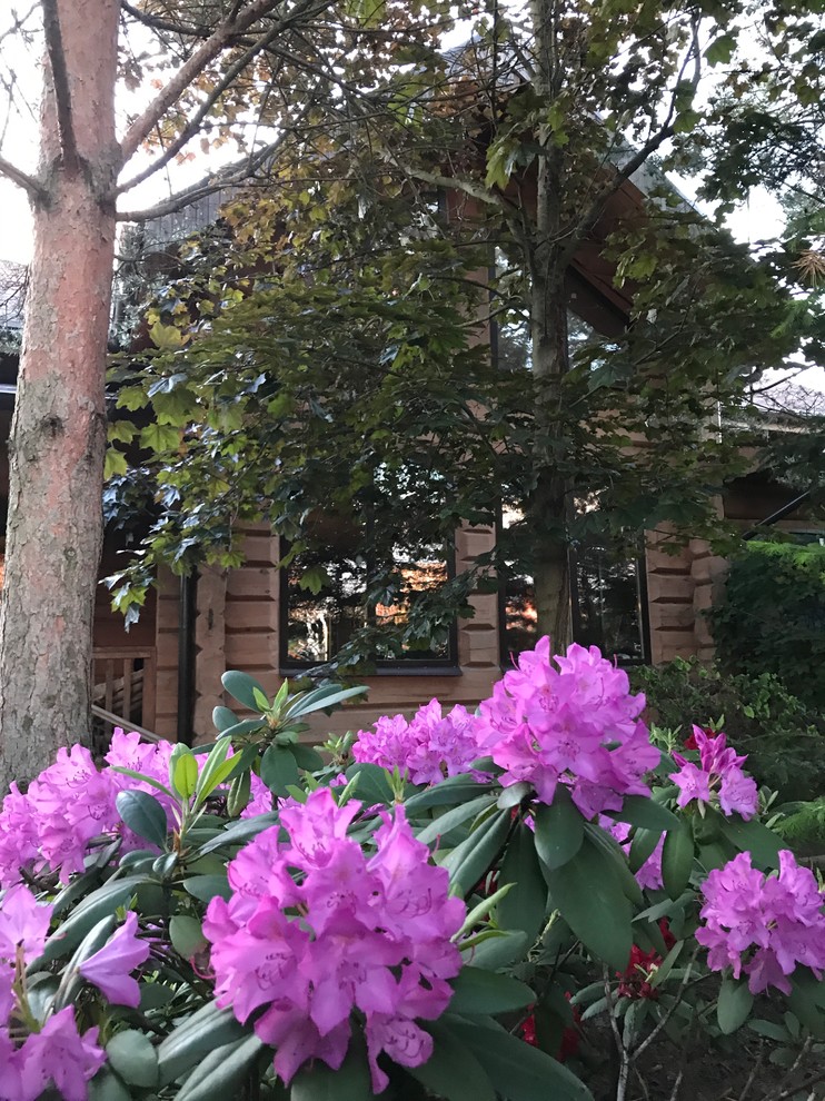 Буйство красочных форм в осеннем саду