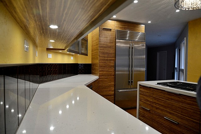 Los Altos Hills Bamboo contemporary-kitchen