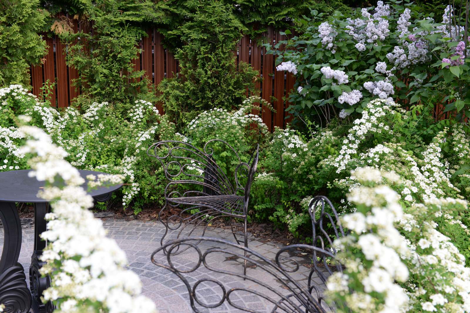 Новогорск 2021