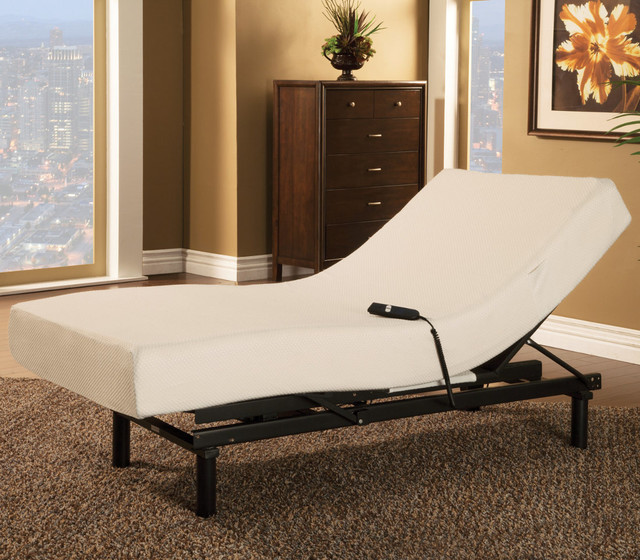 Twin Adjustable Bed with Mattress