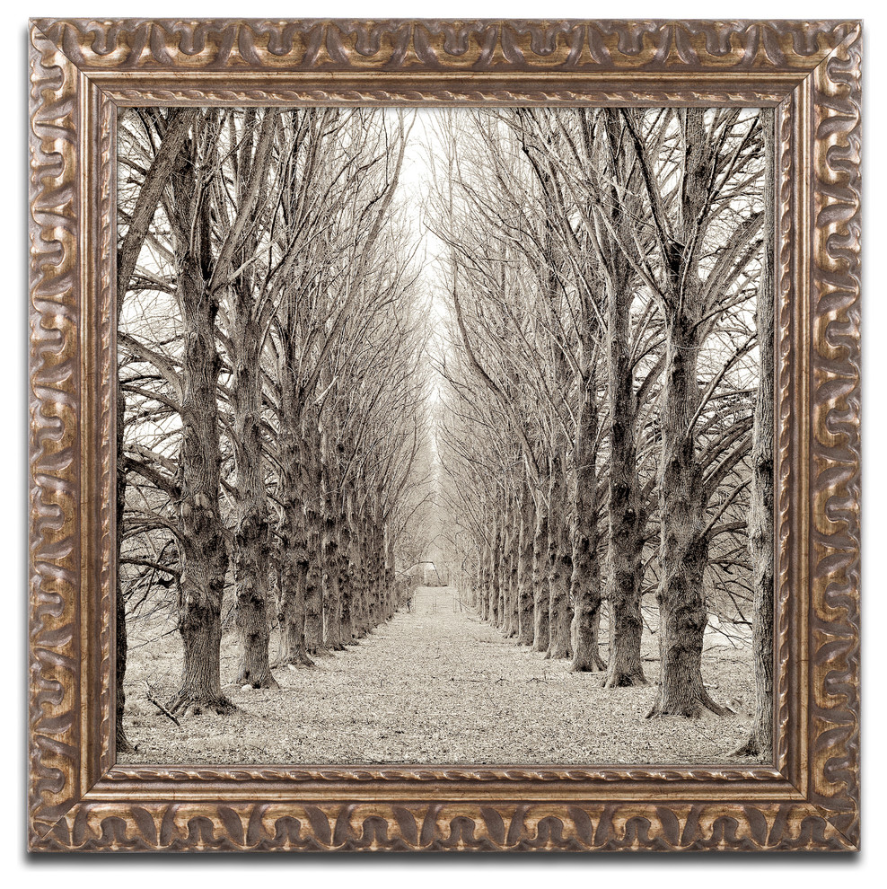 Alan Blaustein 'Hampton Gates Promenade III' Ornate Framed Art, 16"x 16