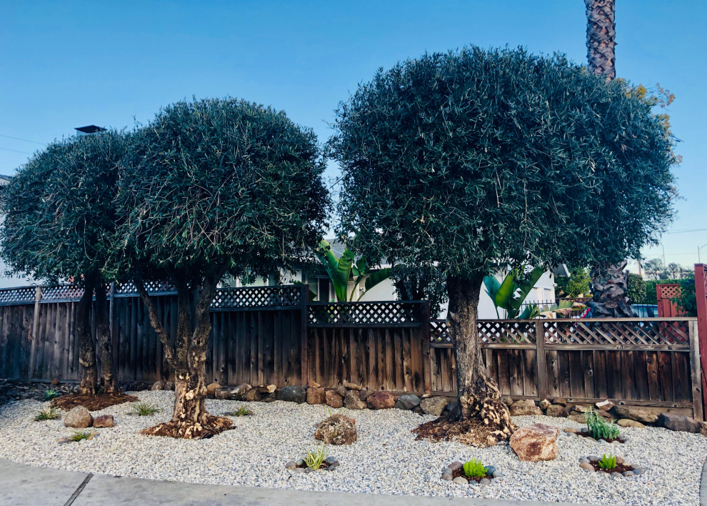 Front yard