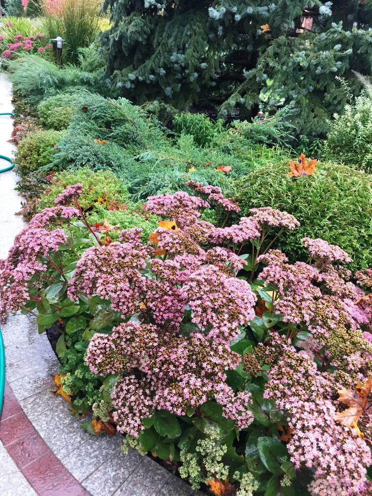 Миллениум2014